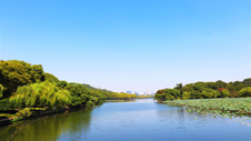 太湖又现蓝藻暴发危机 藻类监测助力水华预警 太湖又现蓝藻暴发危机 藻类监测助力水华预警