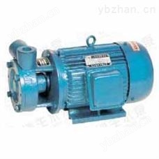 1W型单级漩涡泵 磁力泵 石油化工磁力泵
