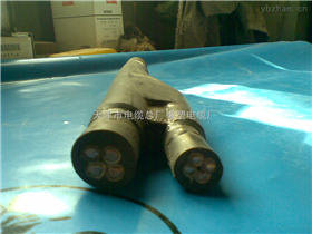 MY预支矿用橡套电缆MY预分支橡套电缆