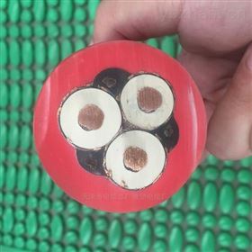 MYPT矿用电缆-电缆型号MYPT标准价格