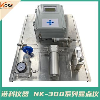 電解水制氫氣露點檢測用氫氣微量水分測定儀量程可定制CT6防爆