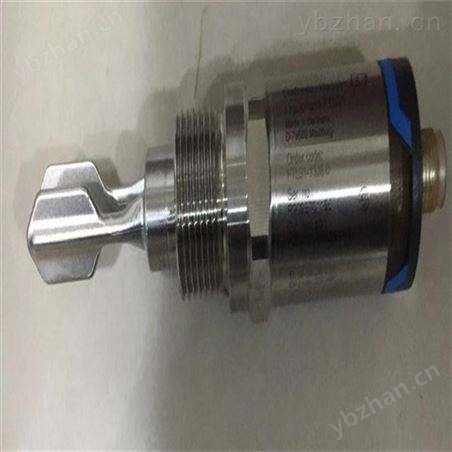 E+H電磁流量計FMX11-CA11HS20