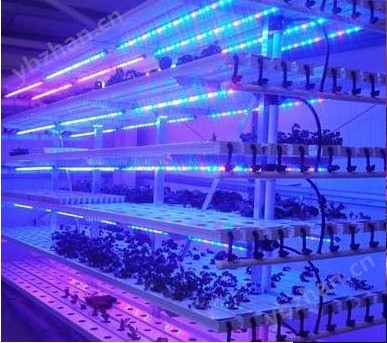 QT-LED1218植物補光燈