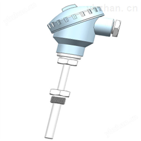 通用型溫度變送器T55D