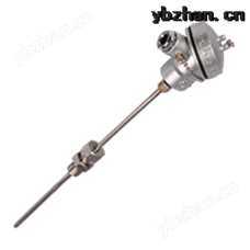 WRNK-321铠装热电偶