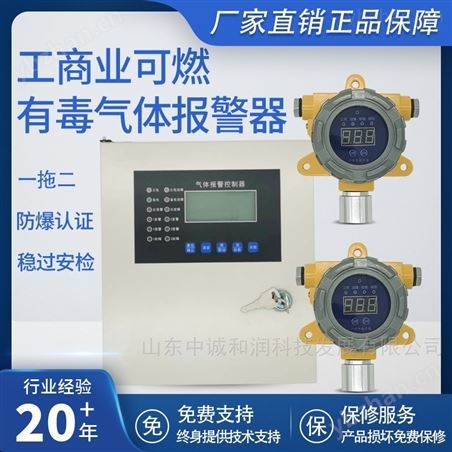 煤氣氣體檢測報警器-鋼廠專用