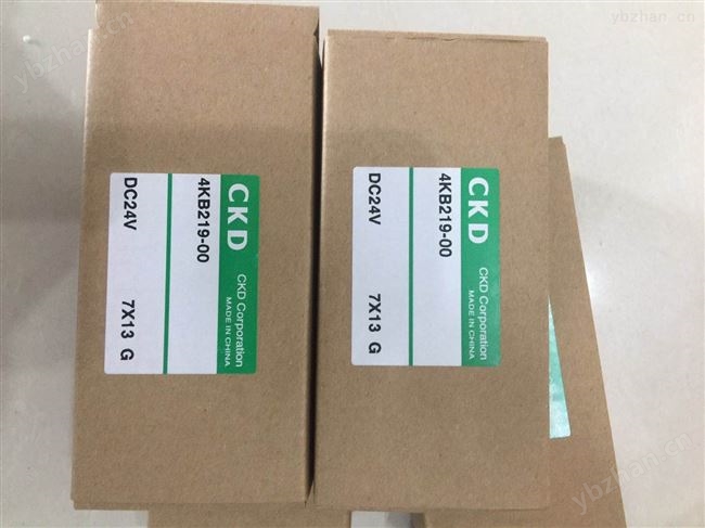 日本CKD電磁閥，4KB219-00 220V