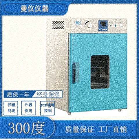 300度鼓風干燥箱DHG9075A